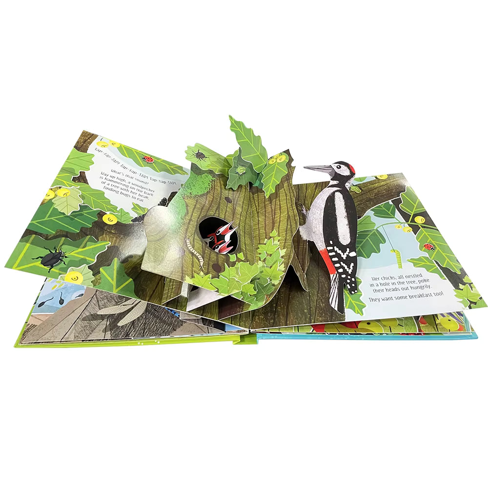 3D Pop-up Kinderboek